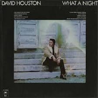 David Houston - What A Night